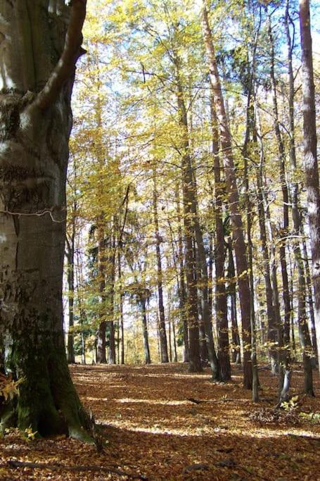 Stilvolles Landhaus Im Dreilaendereck Felsőszölnök Exterior foto